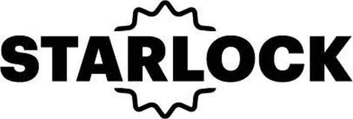 FEIN Schleifplatte Fingerform Starlock 4 FEIN Schleifplatte Fingerform Starlock – Bild 2